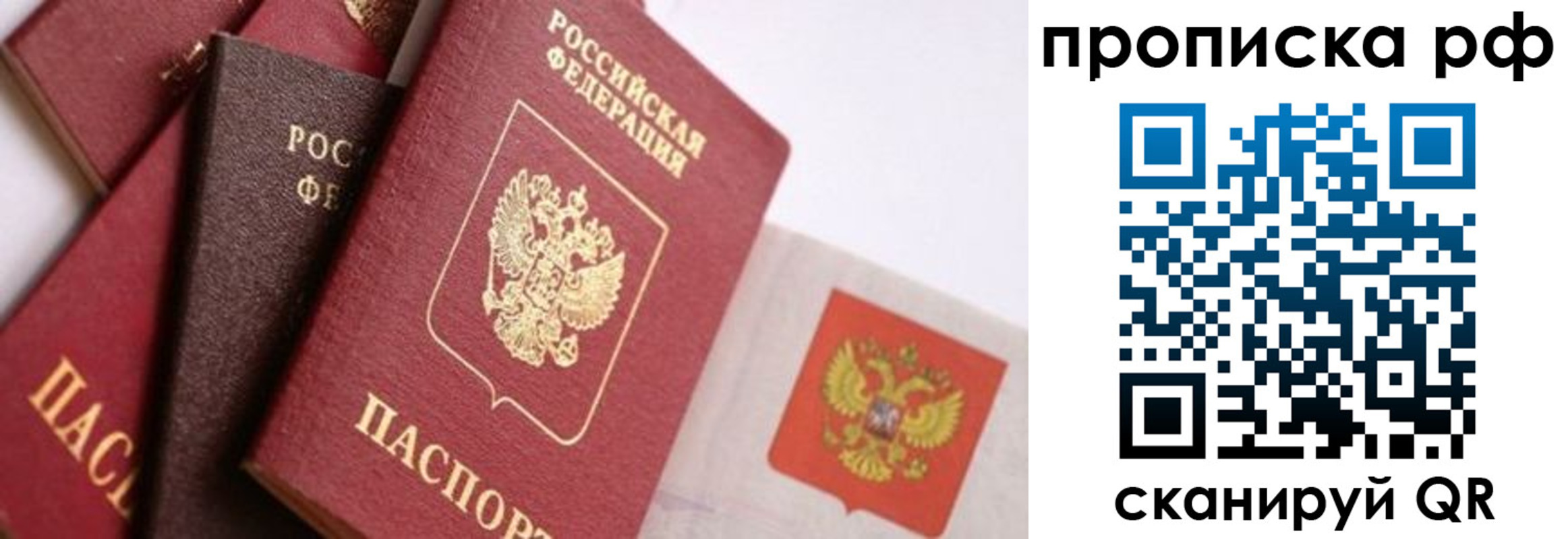 прописка ребенка в Жукове